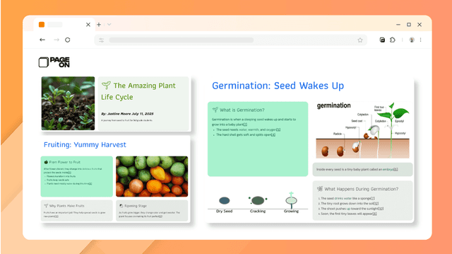 🌱 The Amazing Plant Life Cycle 