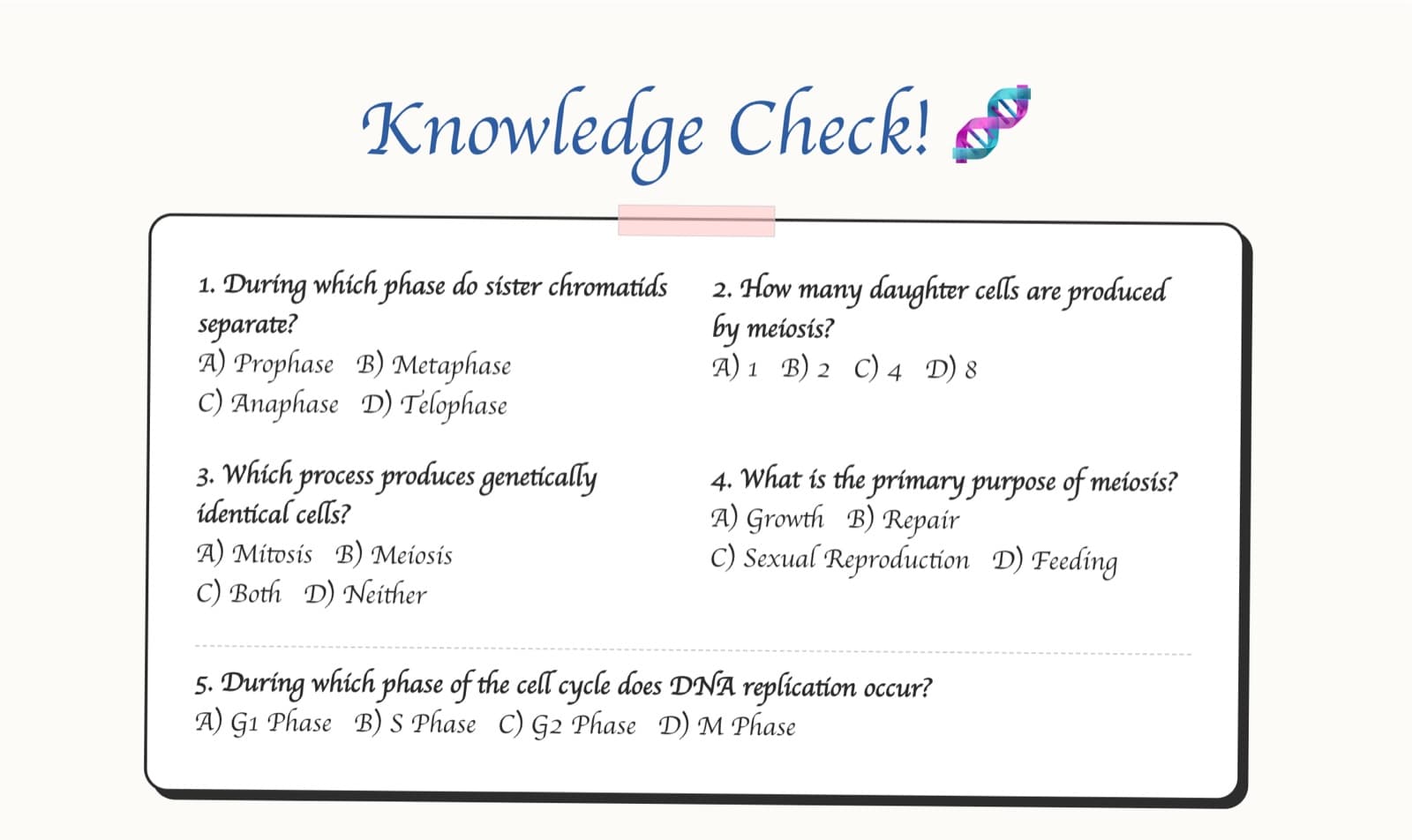 Biology lesson on cell division with knowledge check quiz in hand-drawn educational style