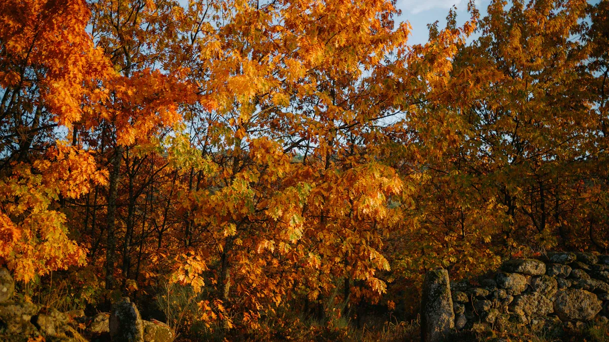 Warm and Cozy Color Schemes