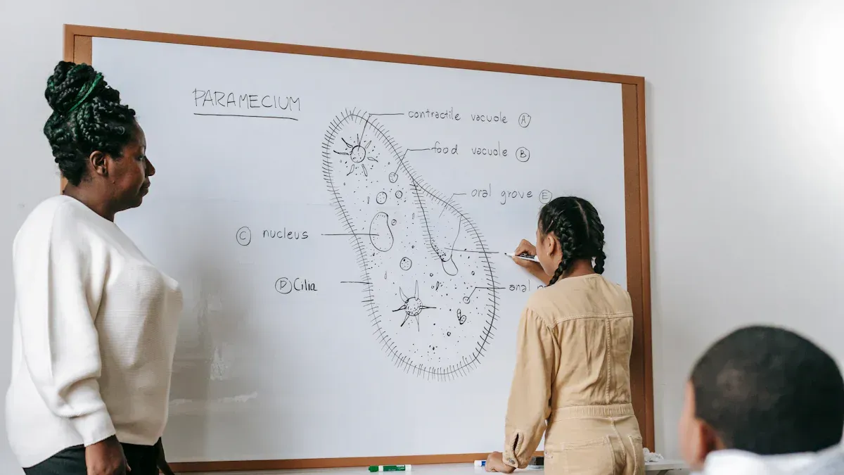 How to Create Fun and Engaging Biology Lesson Plans for High School
